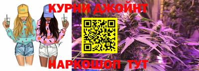 мдпв Новозыбков